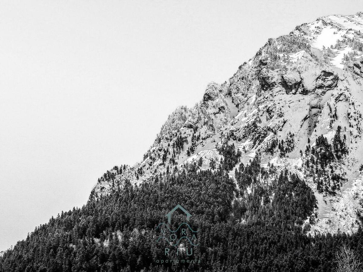 Apartmán Vora Riu Esterri d'Àneu Exteriér fotografie